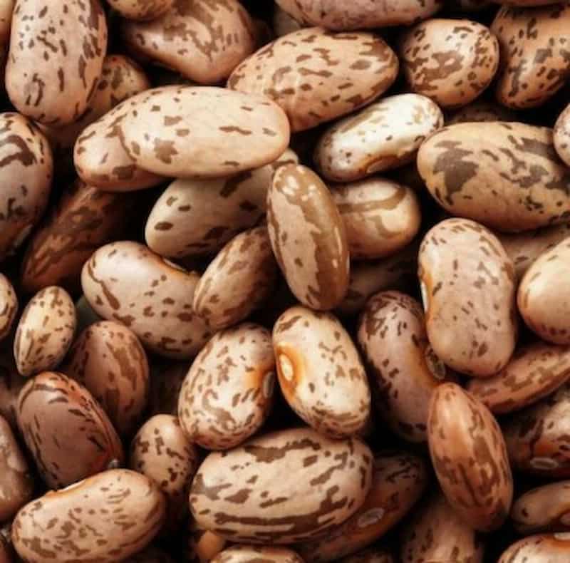 خرید لوبیا چیتی فامیلا + قیمت فروش استثنایی
